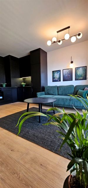 Mieszkanie apartamentowiec wynajem