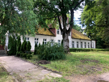 Działka Linowno