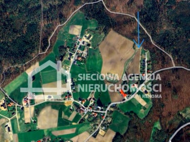 Działka przy lesie