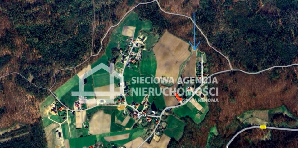 Działka przy lesie