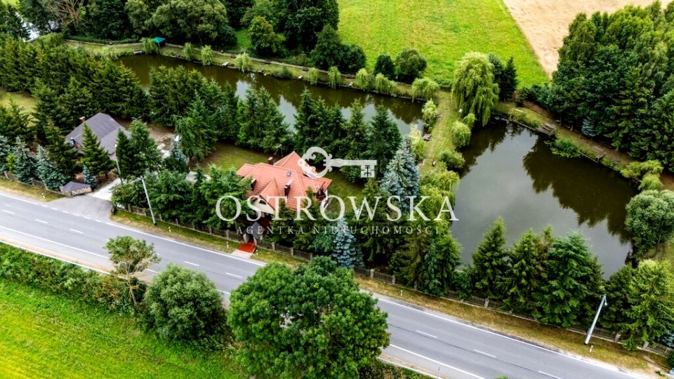 Dom Drążdżewo