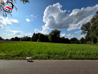 Działka rekreacyjna Miłachówek