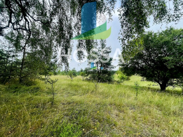 Działka Jabłonka