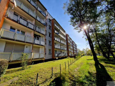 Mieszkanie Bytom