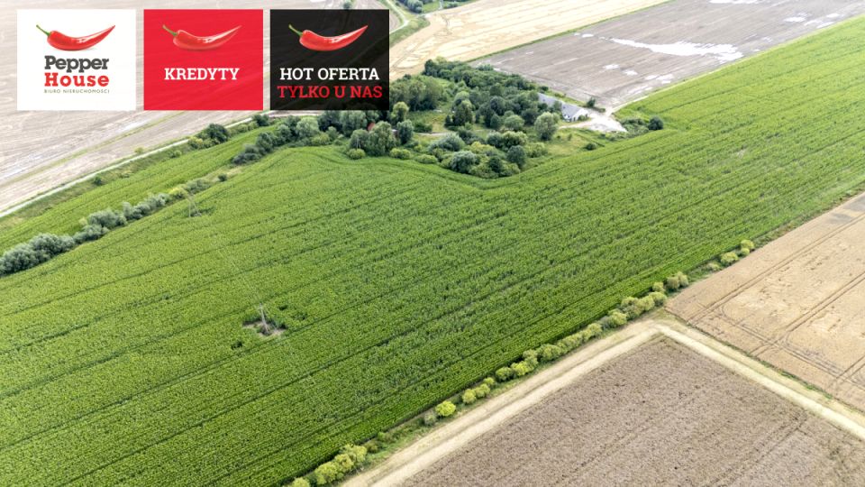 Działka rolna Wielkie Walichnowy