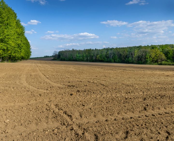 Działka rolna Mielenko Gryfińskie