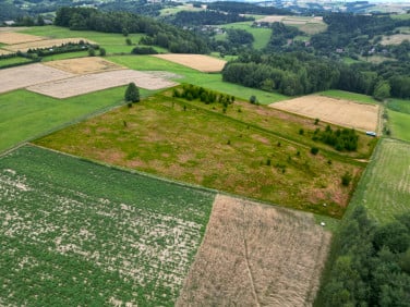 Działka Ostrusza
