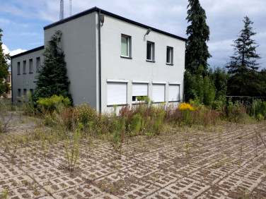 Lokal Złocieniec