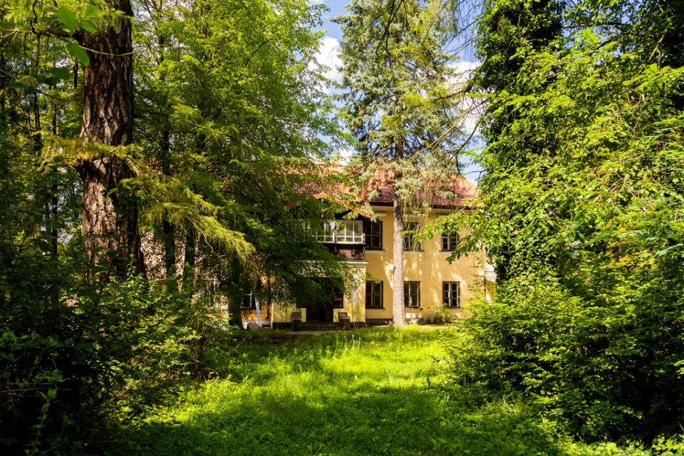 Mieszkanie przy lesie