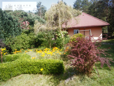 Dom Skorzewo