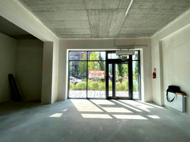Lokal Wrocław