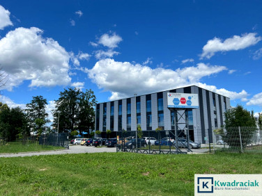 Lokal Krosno