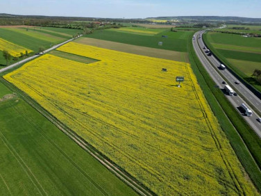 Działka przemysłowa Gogolin sprzedam