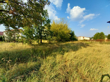 Działka budowlano-rolna Stare Babice