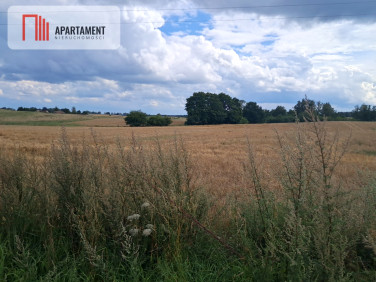 Działka rolna Róża Wielka