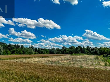 Działka budowlana Sędziszów Małopolski