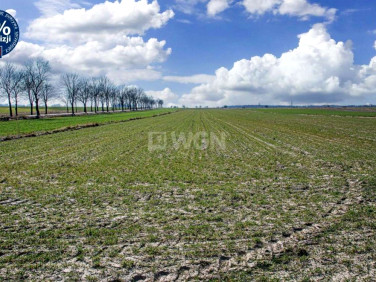 Działka Kraśnik Dolny