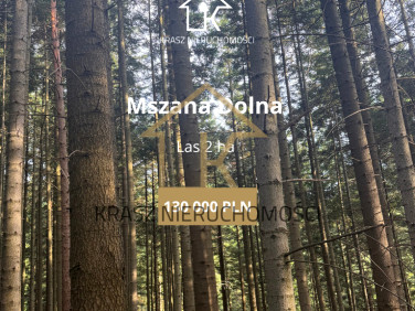 Działka leśna Mszana Dolna