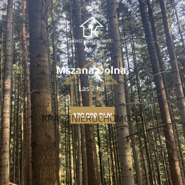 Działka leśna Mszana Dolna