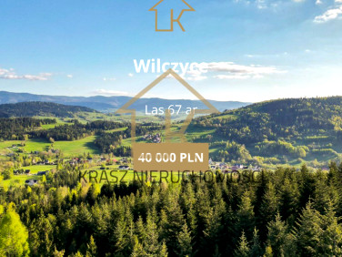 Działka leśna Wilczyce
