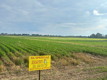 Działka budowlana Strojec