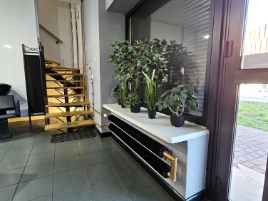 Lokal Lublin
