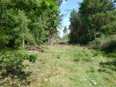 Zalesiona działka Nowe Racibory