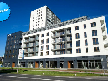 Lokal Warszawa