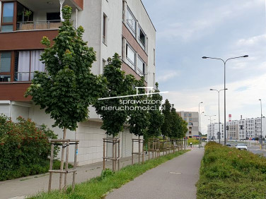 Lokal Warszawa