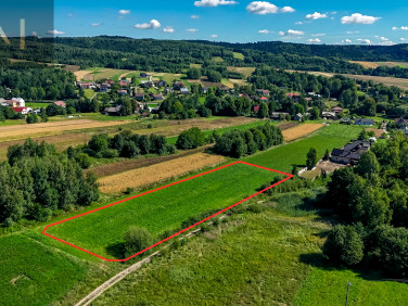 Działka Harta