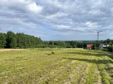 Działka budowlana Czaniec