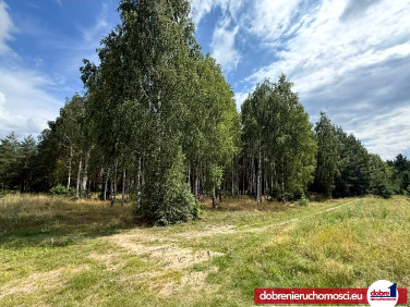 Działka budowlana Łochowice