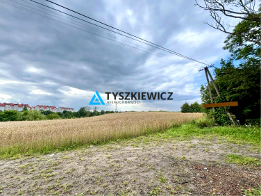 Działka przy lesie
