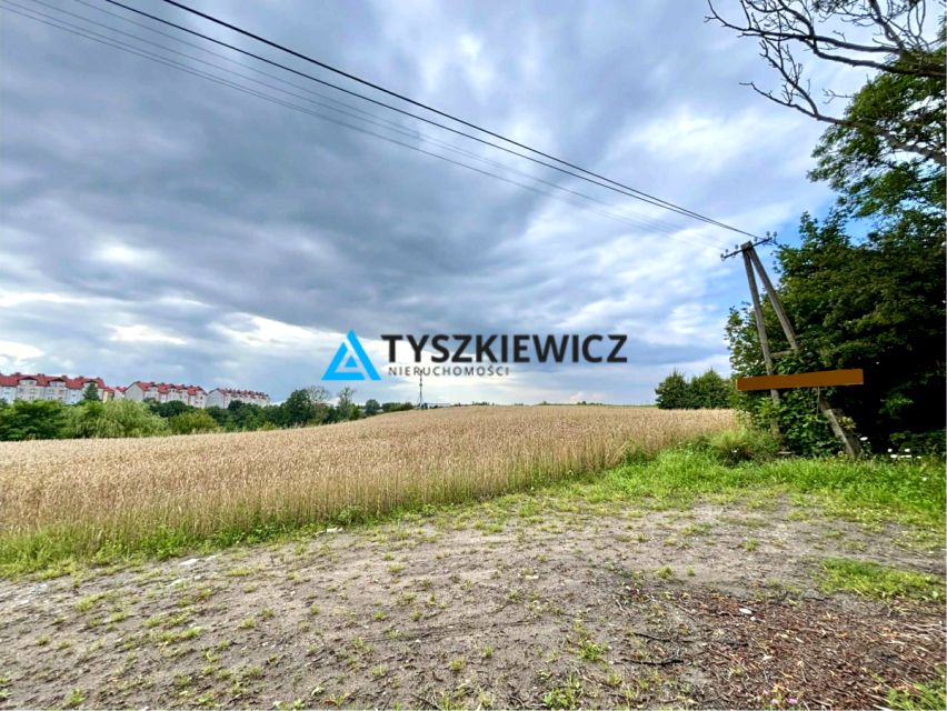 Działka przy lesie
