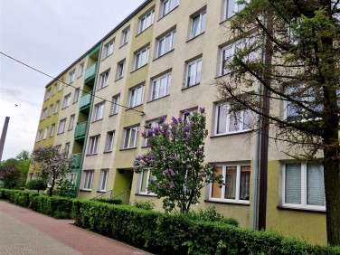 Mieszkanie Bytom