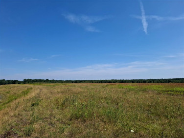 Działka rolna Gierałtowice