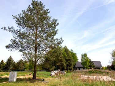 Działka Marszałki