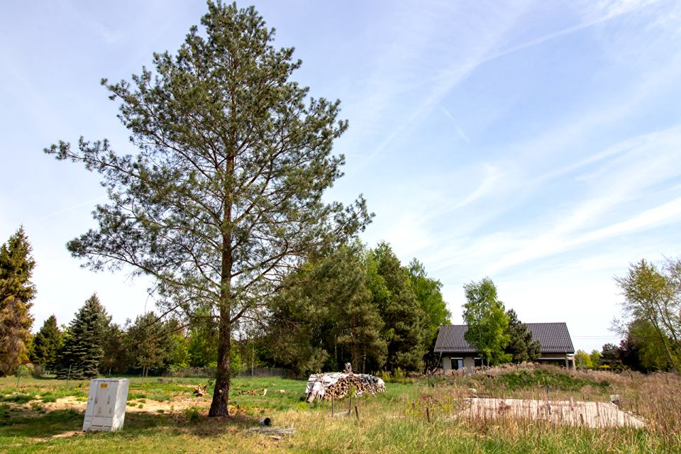 Działka Marszałki