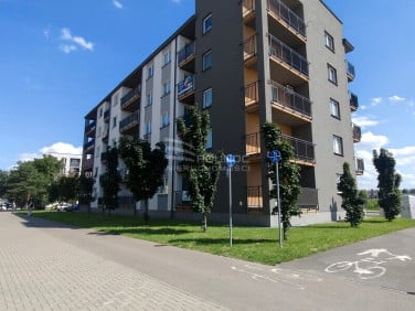 Lokal Biała Podlaska