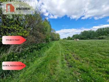 Działka Dąbrówka