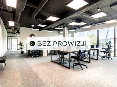 Lokal Kraków