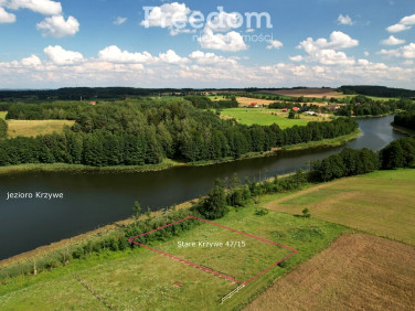 Działka przy lesie