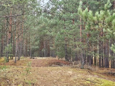 Działka leśna Dobrodzień