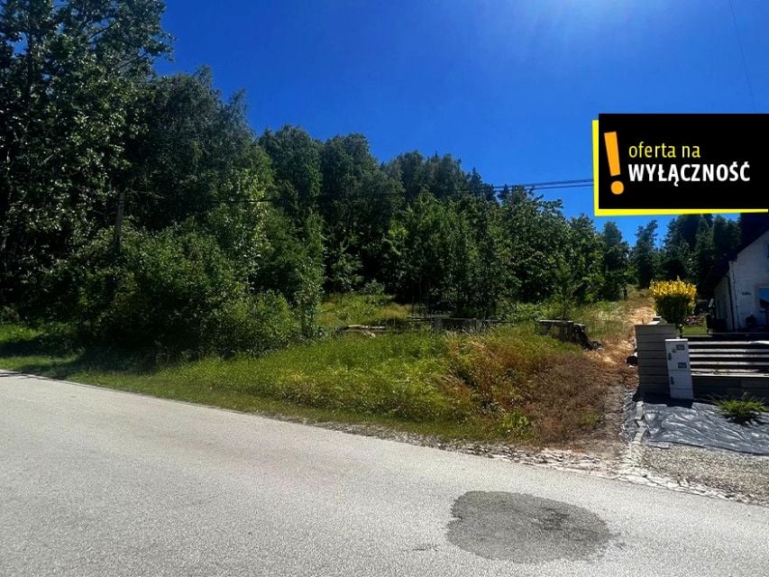 Działka leśna Bolmin