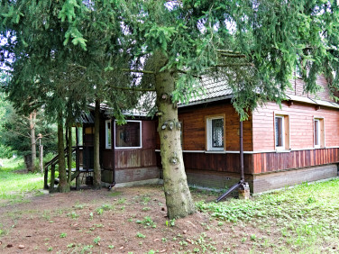Dom Białowieża