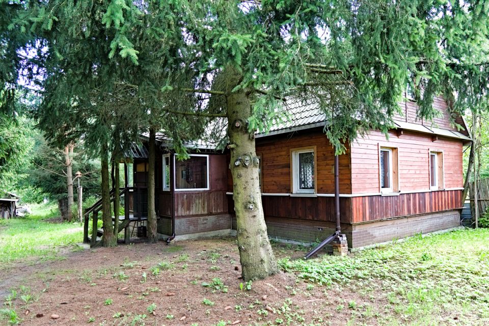 Dom Białowieża