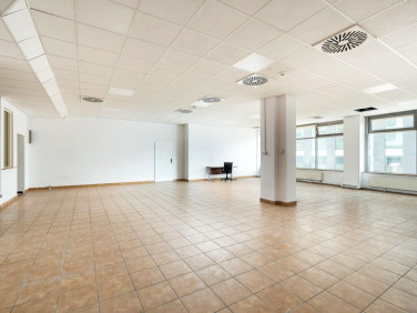 Lokal Warszawa
