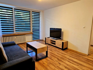 Mieszkanie blok mieszkalny wynajem