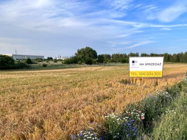Działka Tarnowo Podgórne