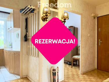 Mieszkanie Włocławek